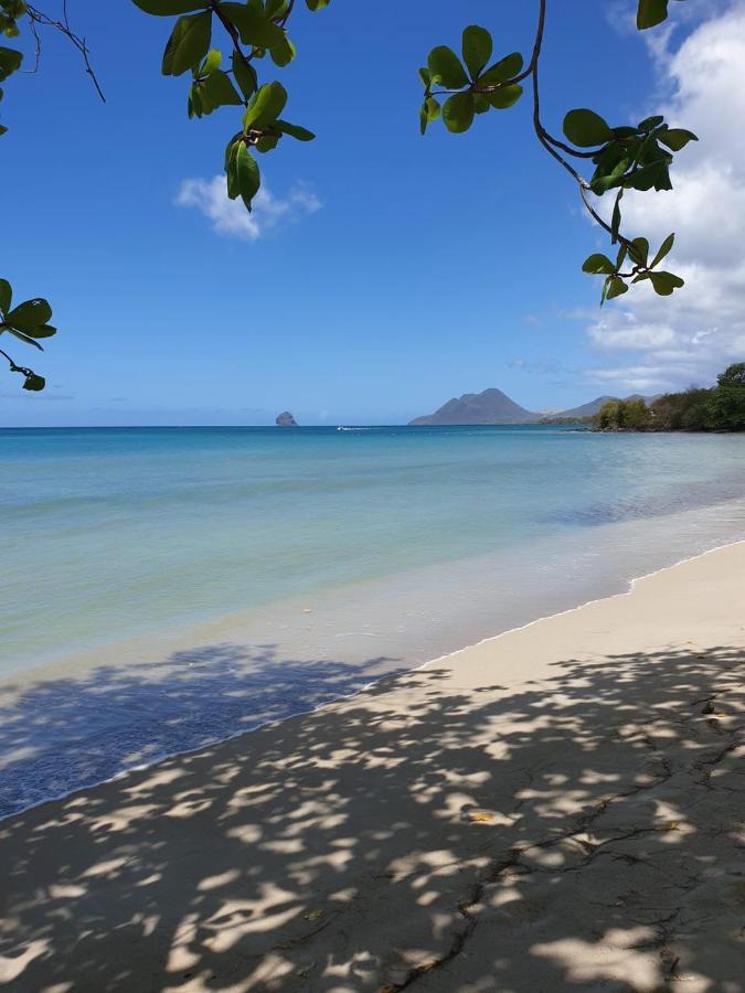 Ste Luce, N° 11 Appart -300M Plage De Mabouyas Corps de Garde Bagian luar foto