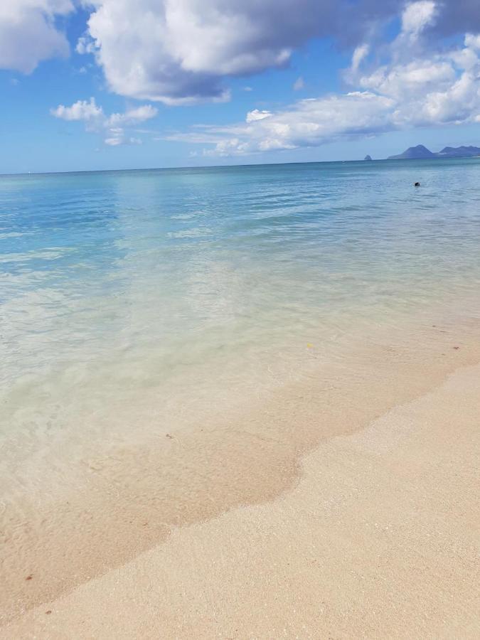 Ste Luce, N° 11 Appart -300M Plage De Mabouyas Corps de Garde Bagian luar foto